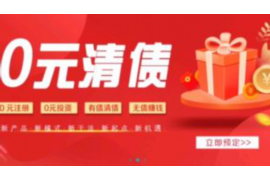 大关债务清欠服务